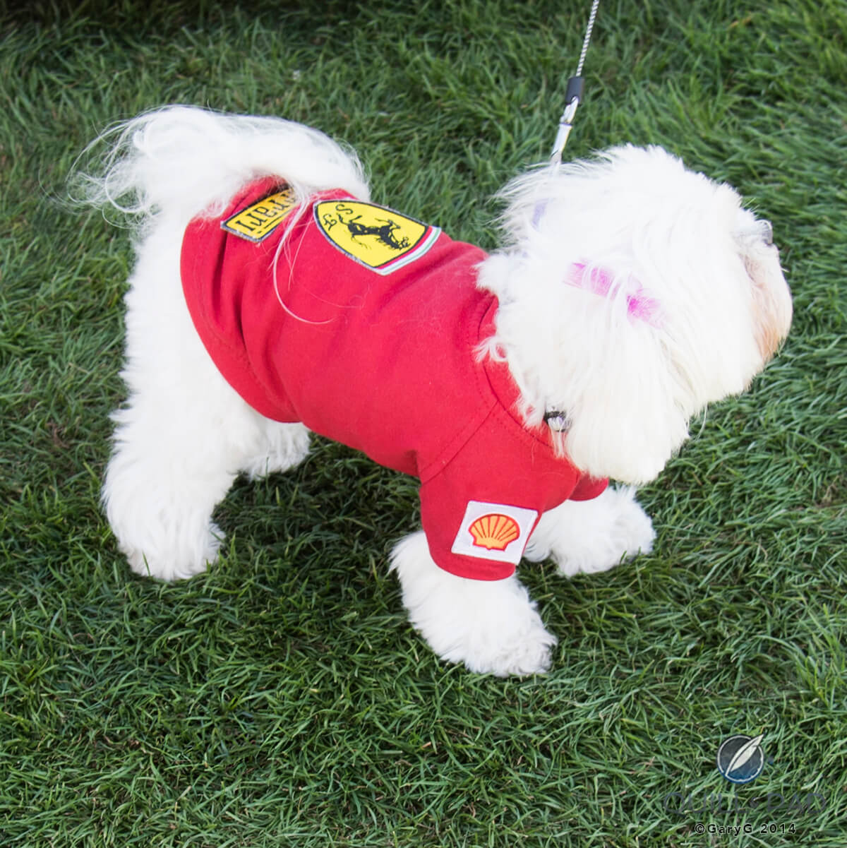 Finally! Someone dressed properly!
