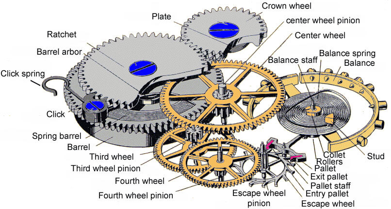 A schematic of a watch movement: many of the gears are necessary only to display the time rather than keep it (image courtesy www.horologist.com)