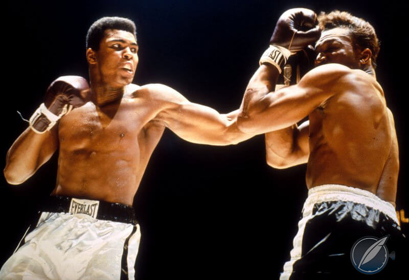 Sporting equipment with a sporting equipment brand: Muhammad Ali and his trademark Everlast shorts