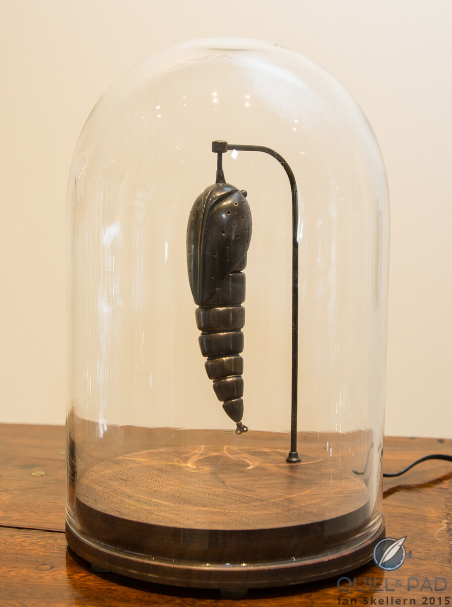 Pupa by Paul Swan Topen: every now and then the