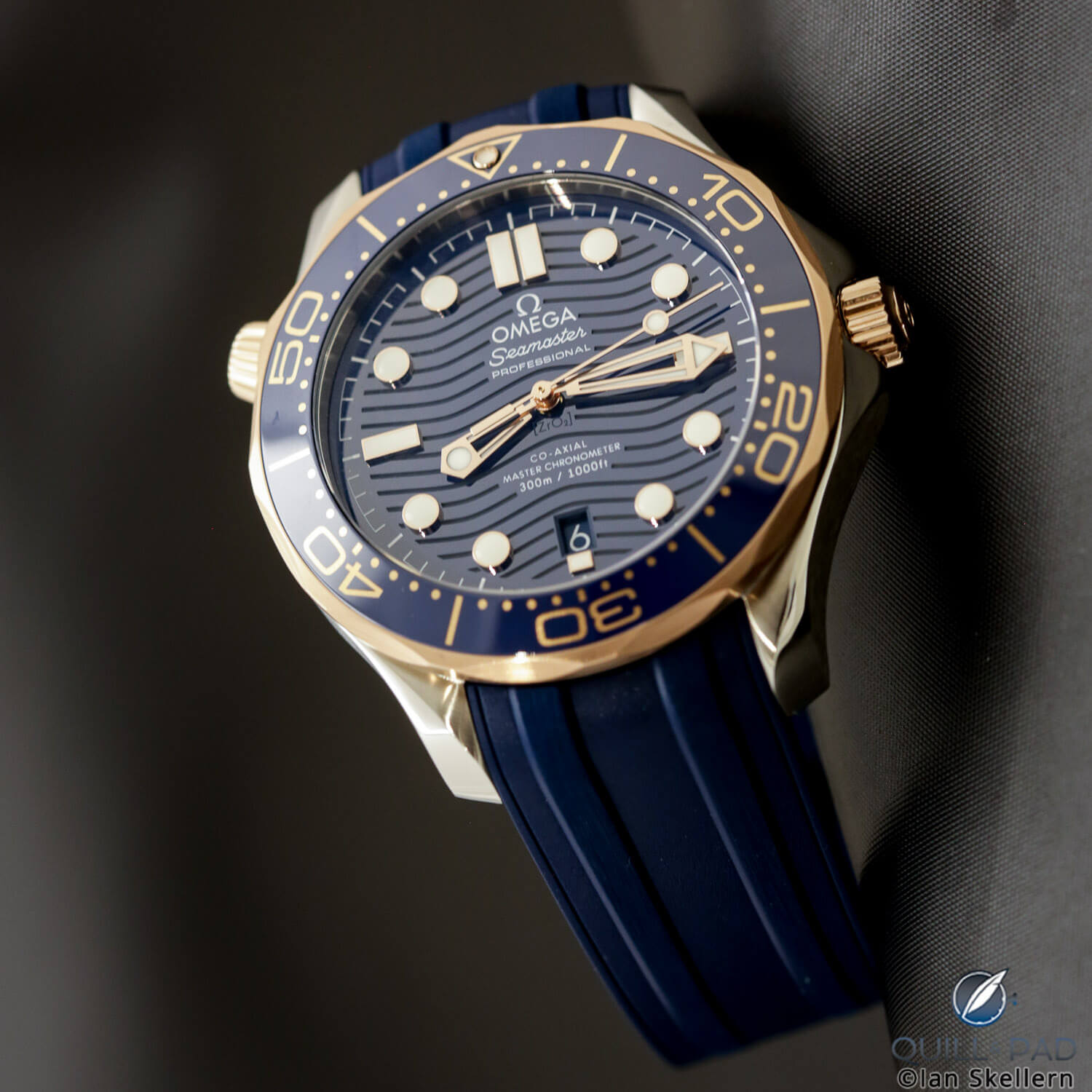 Omega Seamaster Professional